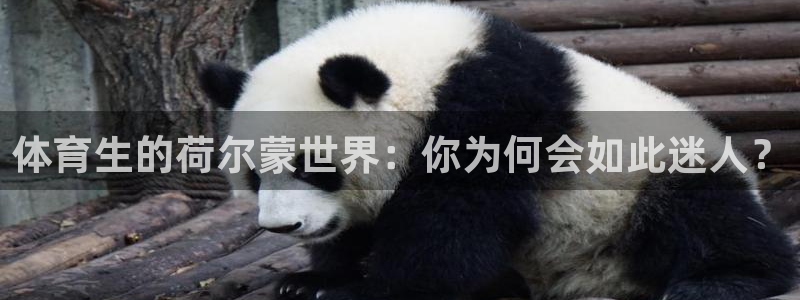体育生的荷尔蒙世界：你为何会如此迷人？