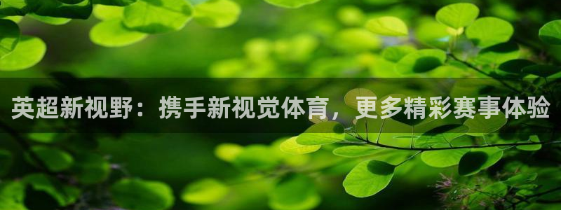 英超新视野：携手新视觉体育，更多精彩赛事体验