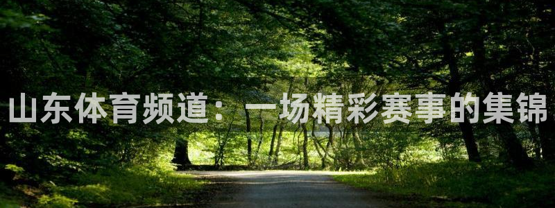 山东体育频道：一场精彩赛事的集锦