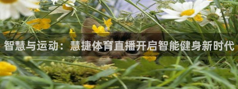 智慧与运动：慧捷体育直播开启智能健身新时代